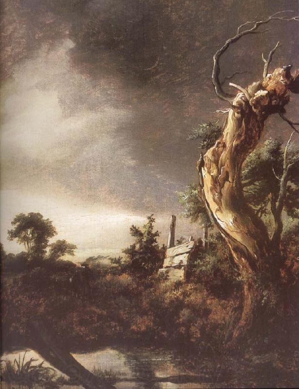 Jacob van Ruisdael Landscape during a Storm